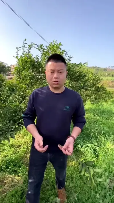 看到今年这么多人种阳光1号，我这个脸皮很薄的人，也不得不站出来拍抖音，因为我不想我老师培育的这么好的品种被毁掉