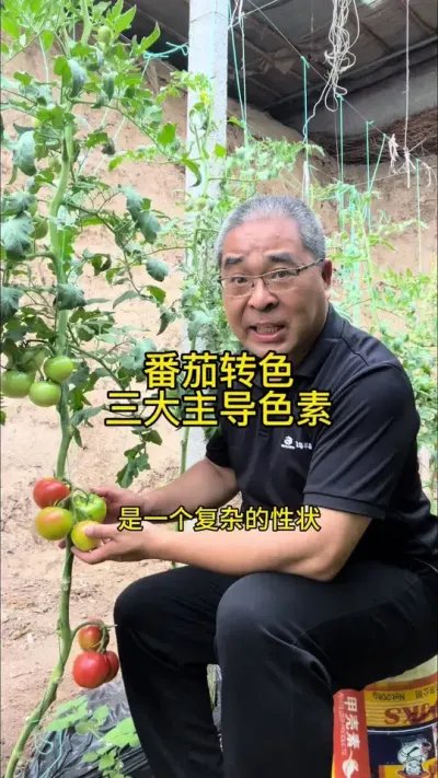 ����תɫ����������ɫ��&mdash;Ҷ���ء�����ܲ��غͻ����ء� #������� #��ũ������ #ԭ����Ƶ #�ѿѷ���@������