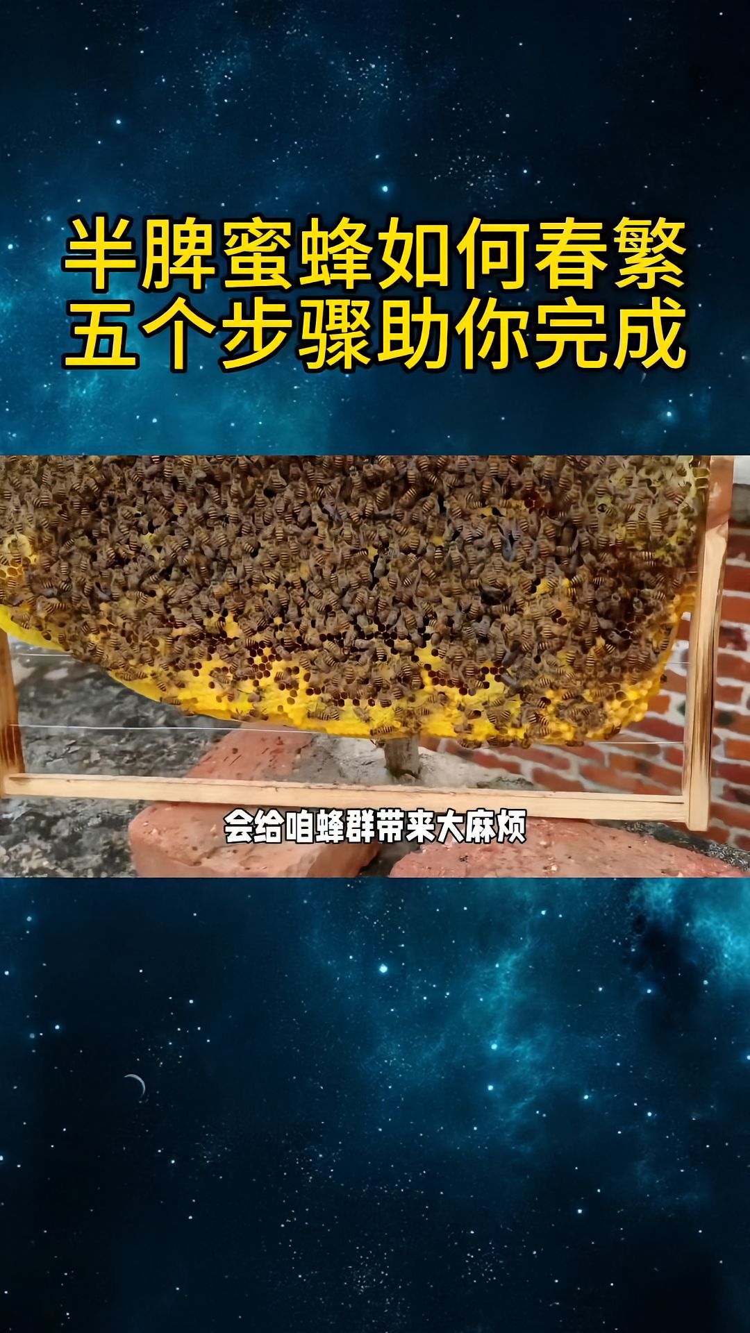 https://static.ixuenong.com/pxn/uploads/prod/thirdfile/2025/04/72a3dbaa1342335803215213a29583df.jpg