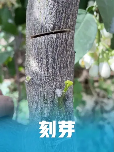 ����ѿ���Կ�ѿ#�޽����� #��ũ������ #��ũ���� #������ũ #ũҵ