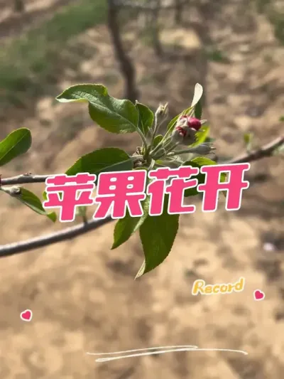 ƻ #