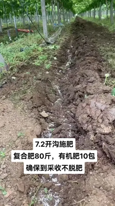 7.2ʩ