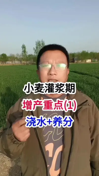 Сཬص(1)ˮ+Ӫ Сཬص(1)ˮ+Ӫ#Сֲ #Сֲ #ũҵ #С߲ #ũ֪ʶ