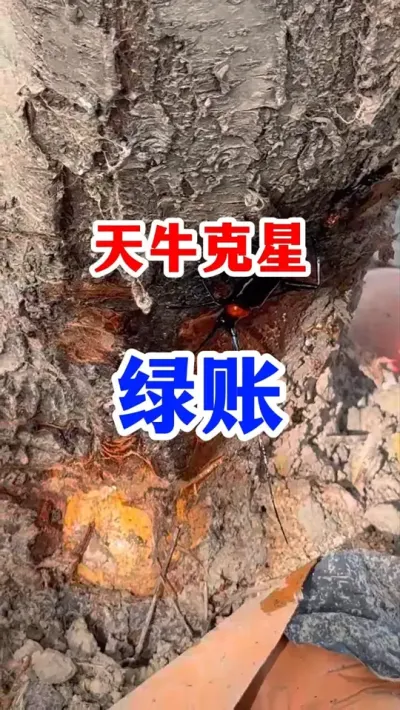 ������ţ������ #����ݪֲ  #��԰����  #ũҵݪֲ #������ţ