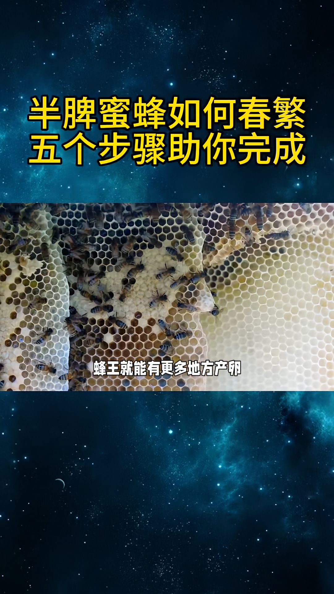 https://static.ixuenong.com/pxn/uploads/prod/thirdfile/2025/04/8be1a16d095a54c8e58f2142e6ca5c13.jpg