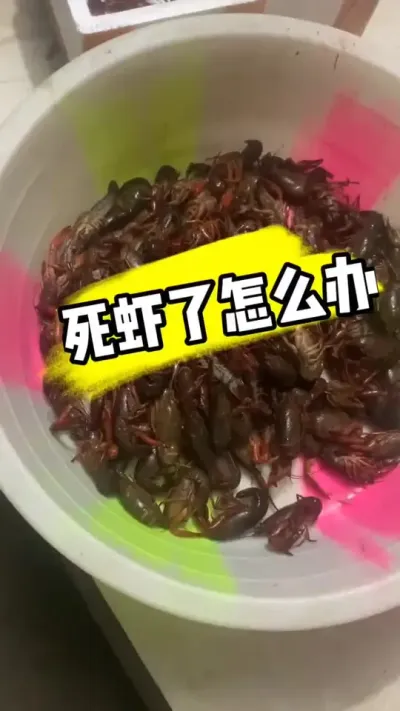 СϺ ͻô#СϺ #ũ