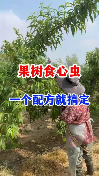 ����ʳ�ĳ������ #����ݪֲ  #��԰����  #ʳ�ĳ����  #ũҵݪֲ