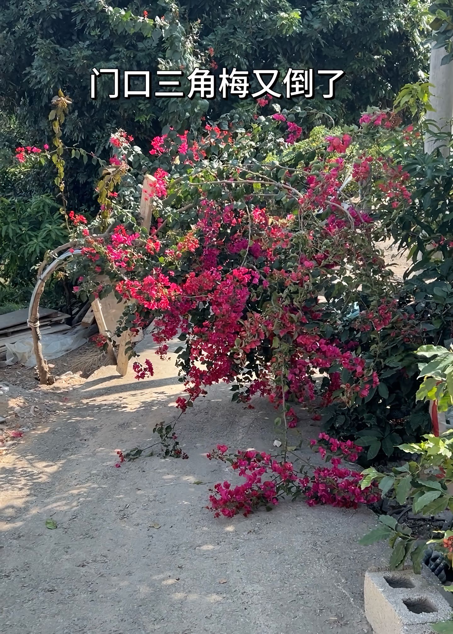 https://static.ixuenong.com/pxn/uploads/prod/thirdfile/2025/04/9988cf75a85397be7f5b6be536b5fb5d.jpg
