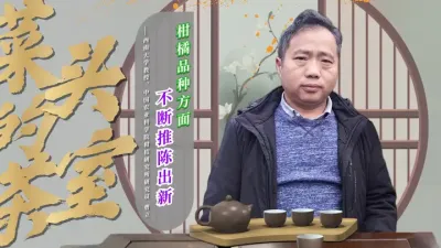 拥有自主知识产权的“金秋沙糖桔”品种推广十年来，为广大种植者创造了数十亿元种植效益。“中日两国在全球鲜食品种创新方面是领跑者”“现在是柑橘产业的拐点”……知名柑橘育种专家，中国农科院柑桔研究所研究员、