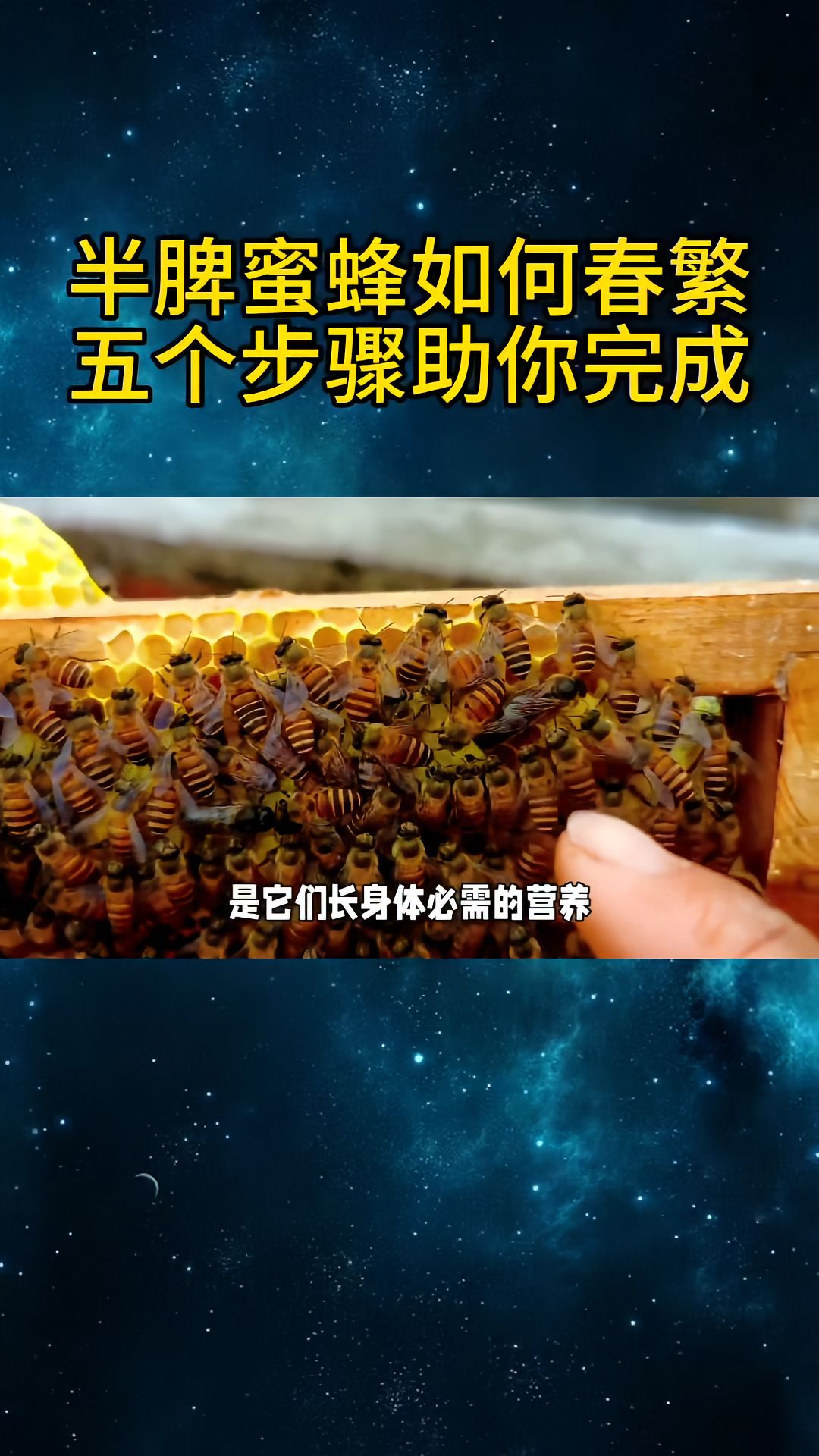 https://static.ixuenong.com/pxn/uploads/prod/thirdfile/2025/04/9d2f33d1591b72622c51e811e8568657.jpg