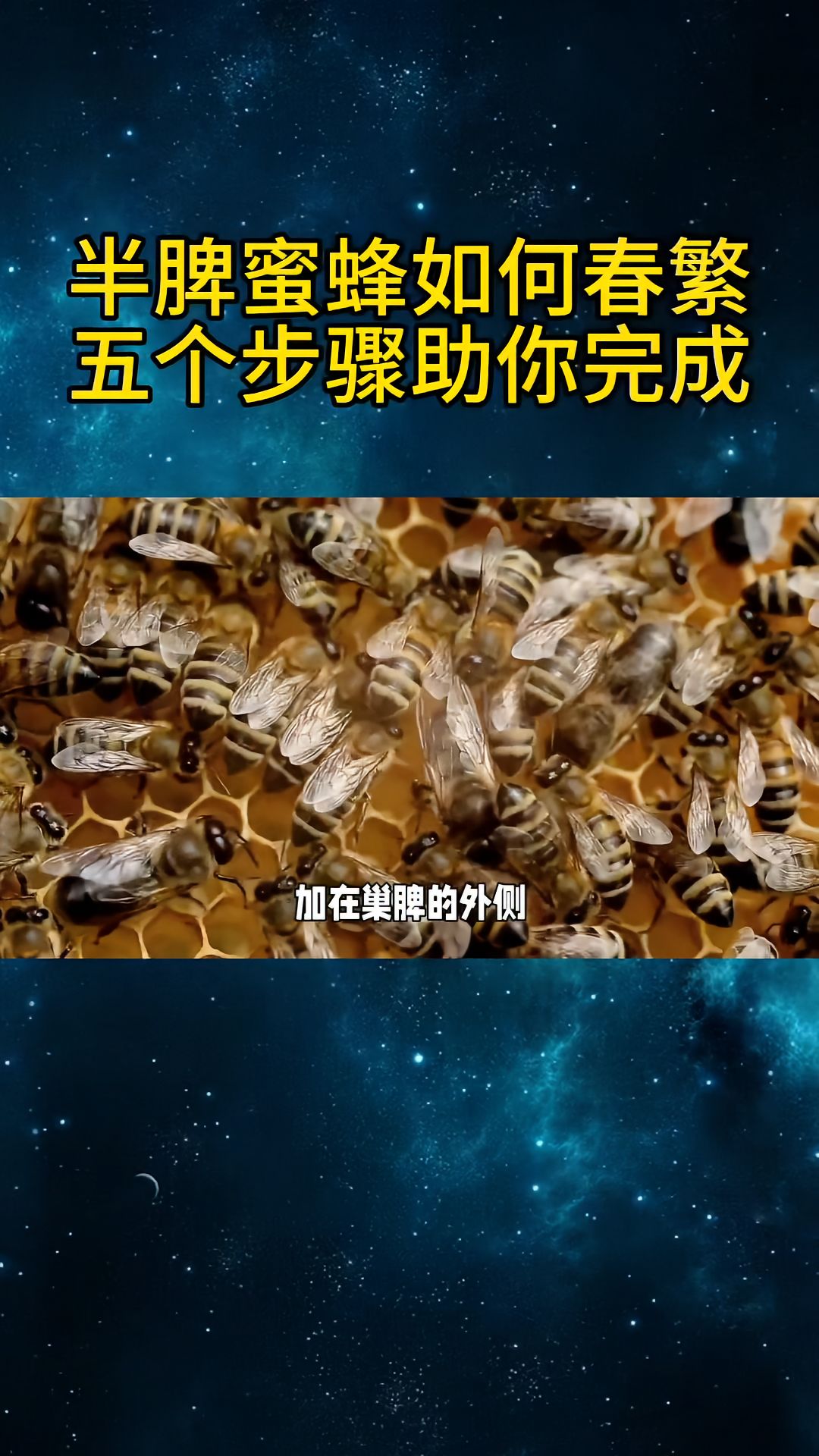 https://static.ixuenong.com/pxn/uploads/prod/thirdfile/2025/04/9d5108e95a7e695200bbcfb4e54d80ff.jpg