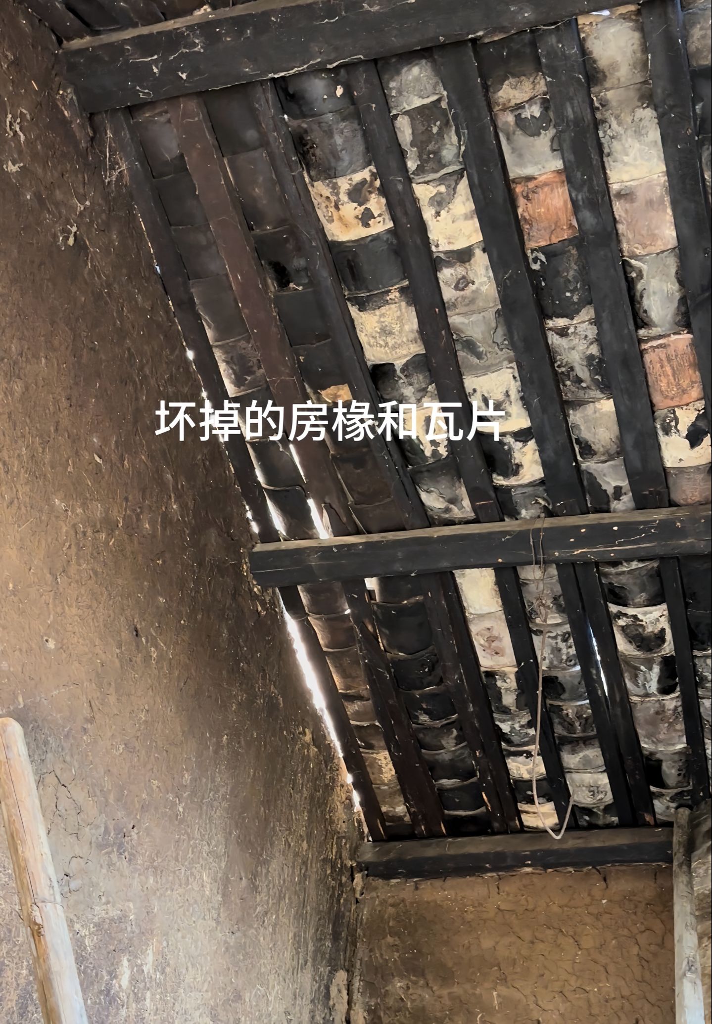 https://static.ixuenong.com/pxn/uploads/prod/thirdfile/2025/04/9d8478af992187aaaf05746a7a02140f.jpg