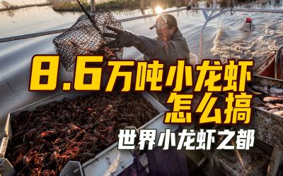 8.6СϺô СϺ֮ ·˹ ³