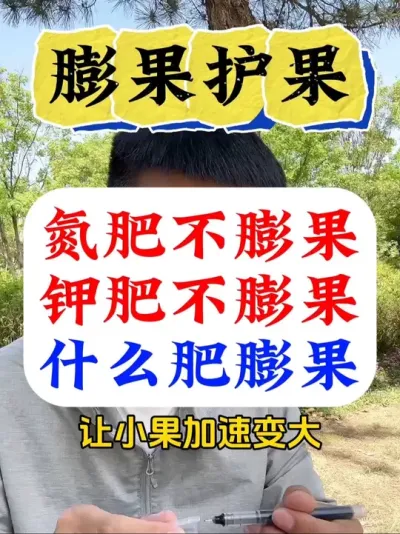 ����ʲô�ʲ�����������࣡��#����ʩ��#����ݪֲ#�������� #������������ #����ݪֲ����