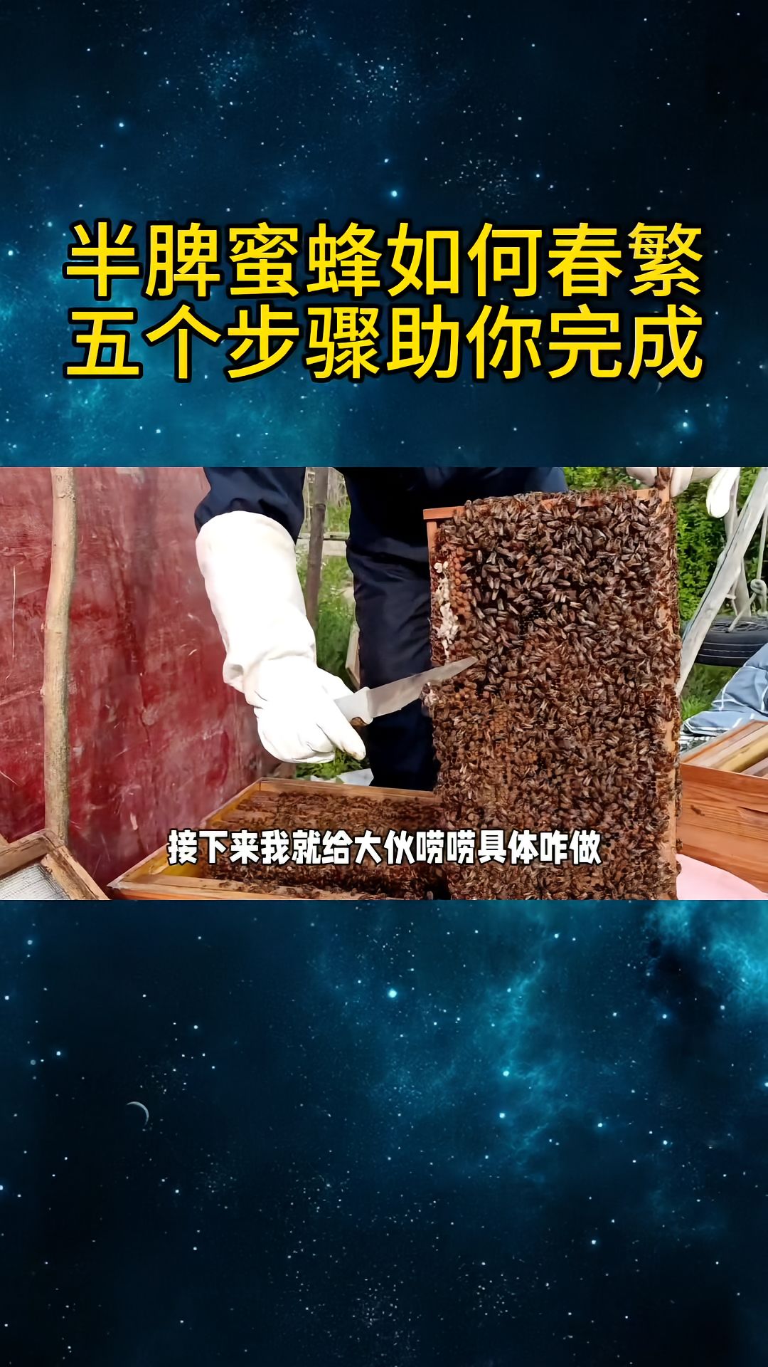 https://static.ixuenong.com/pxn/uploads/prod/thirdfile/2025/04/a26e13f957b94771497aeea14b629072.jpg