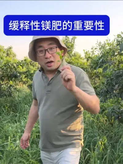 ���ٲ�þ�ʵ�ʱ��ڵ� ��Ҫ�벽��ȥ�����������������Ż�֮ǰ��Ӧ�ò���ľ�����΢��Ԫ��#�������ӻ� #���� #����ݪֲ #�����޼�