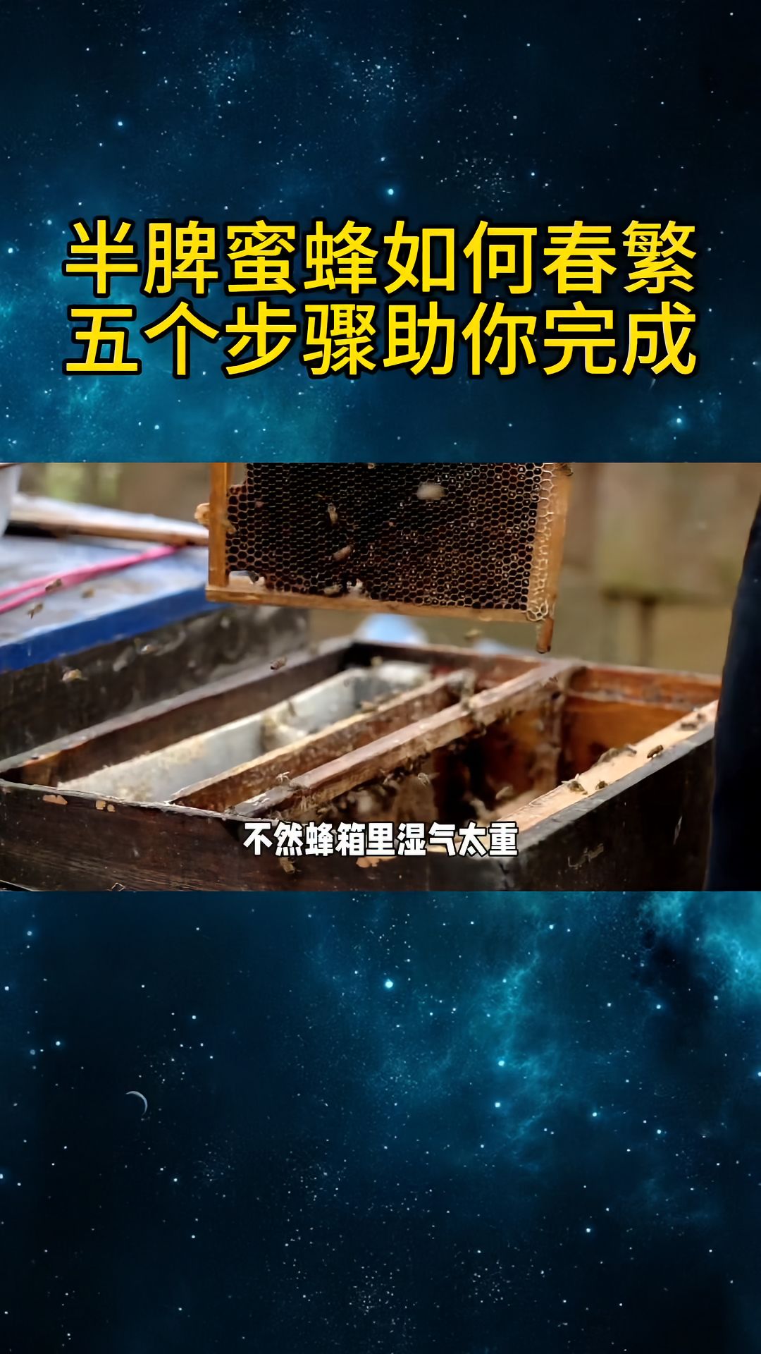 https://static.ixuenong.com/pxn/uploads/prod/thirdfile/2025/04/aacf99067765e838a7239c49c90d26d1.jpg