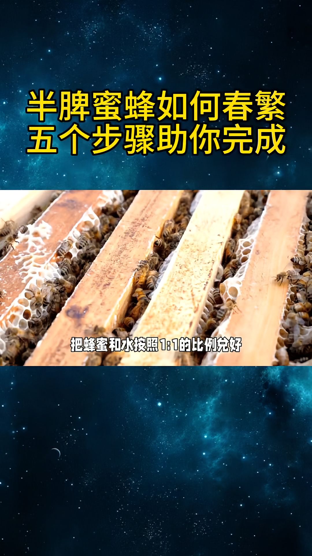 https://static.ixuenong.com/pxn/uploads/prod/thirdfile/2025/04/b19790b557bb3cbe89d7e211b12ceebd.jpg