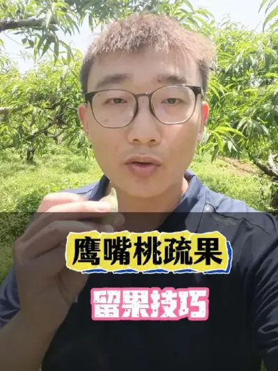 ӥ�������ʱ���������� #ӥ���� #ӥ������� #ӥ���ҹ��� #����ݪֲ #����������������