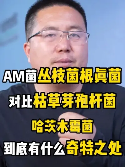 amտݲѿ߸˾ľùʲô֮ #AM #֦#ݲѿ߸˾ #ľù #am