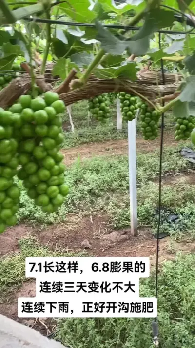 7.1