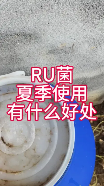 ոʹRUʲô