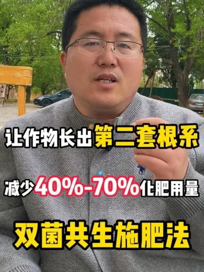 �����ﳤ���ڶ��׸�ϵ����̭40-70%����������˫������ʩ�� #˫������ʩ�ʷ� #AM�� #Am�� #am�� #��Ч���Ͼ���