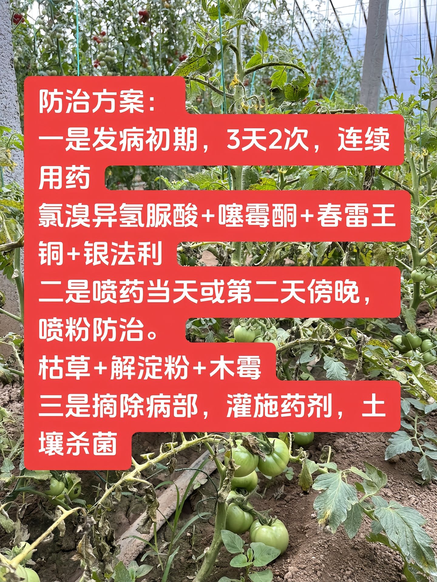 https://static.ixuenong.com/pxn/uploads/prod/thirdfile/2025/04/c0f78149040292c48f9469170e76d60f.jpg