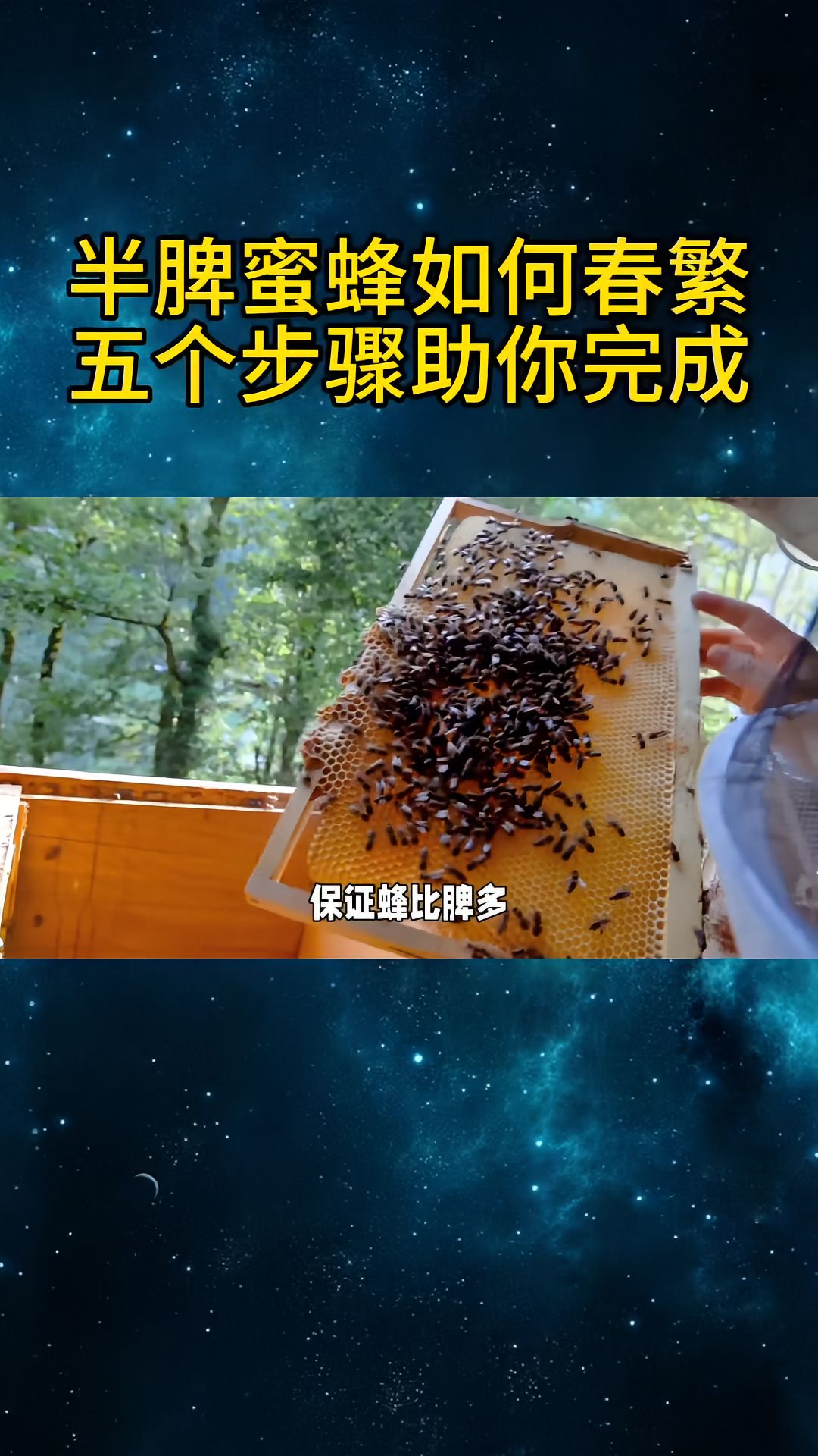 https://static.ixuenong.com/pxn/uploads/prod/thirdfile/2025/04/c55205c43215fb61bc4da13f9fad2742.jpg