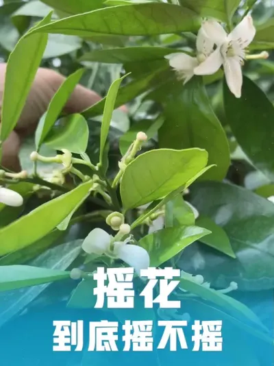 ����ҡ��ҡ��#����ݪֲ #��ũ������ #��ũ���� #������ũ #��������