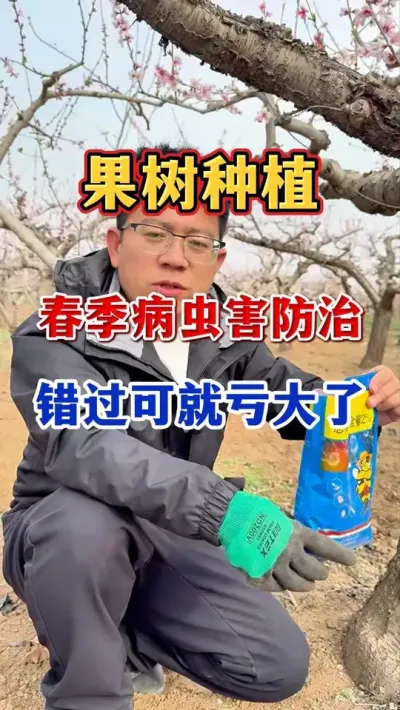 �����溦������ #����ݪֲ   #��԰����  #ũҵݪֲ #�������溦����