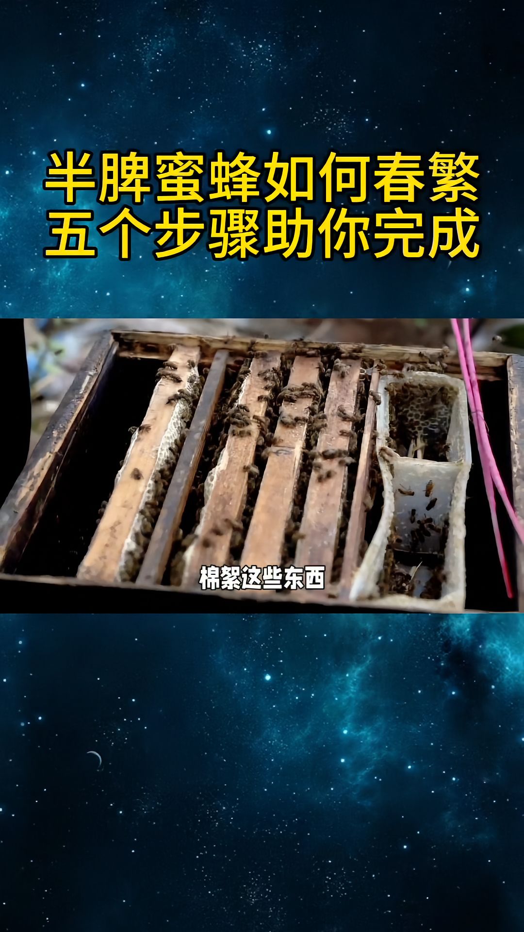 https://static.ixuenong.com/pxn/uploads/prod/thirdfile/2025/04/cb781290e5842f04472cd562f0265a73.jpg