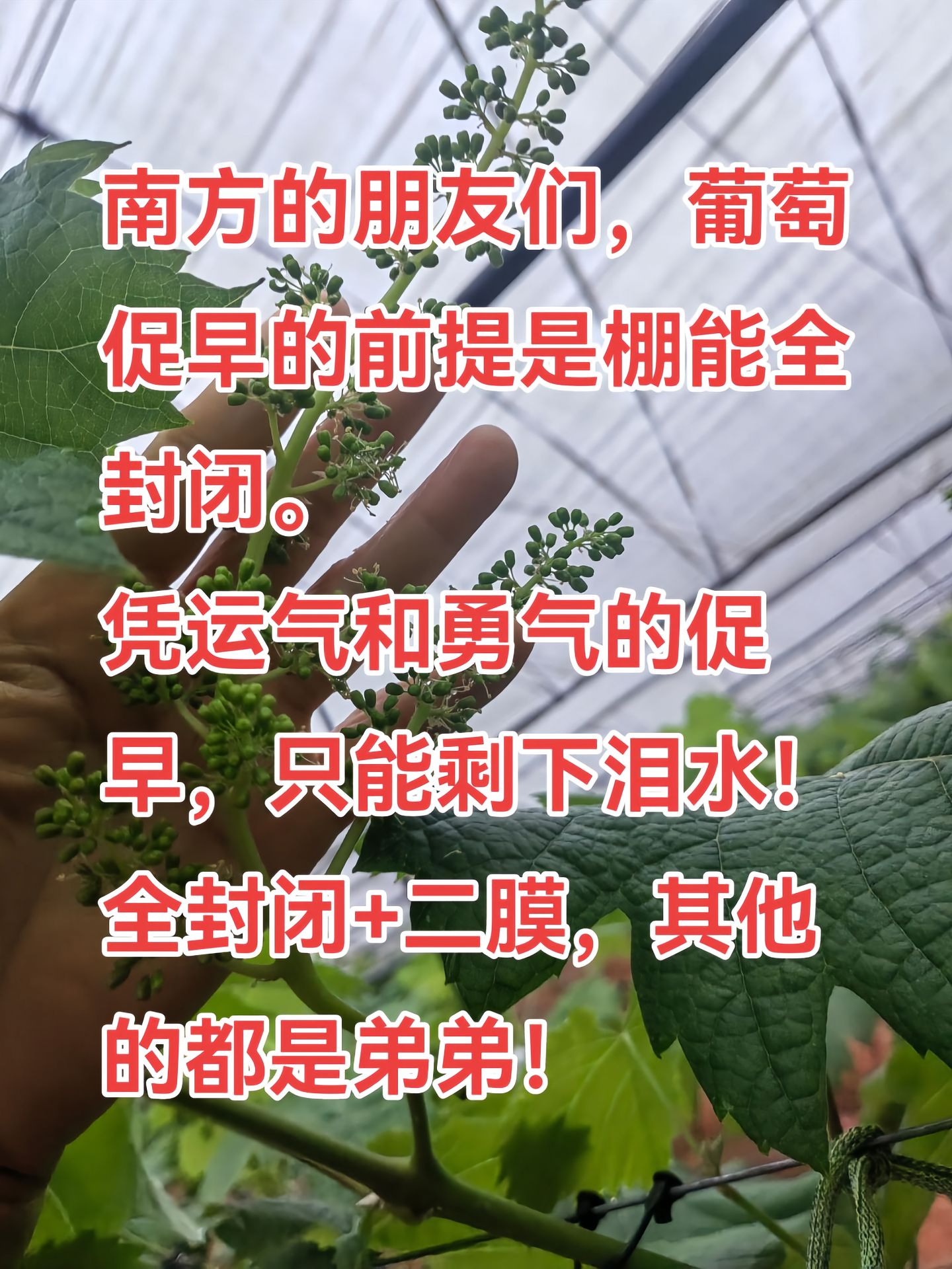 https://static.ixuenong.com/pxn/uploads/prod/thirdfile/2025/04/cc169dcc8f19e6241bf3a75fb708c845.jpg