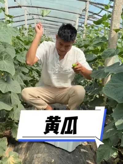 �´���һ��С������ #�ҵ��������� #��ũ #��ũ������2025 #�����ػ��� #�ÿ�ɽ����Ʒɽ��