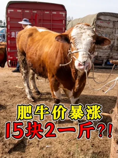 ţǮ죡152һֳǣǺţüۣ #ţ #ţǮ #ţ#ţ #ţ