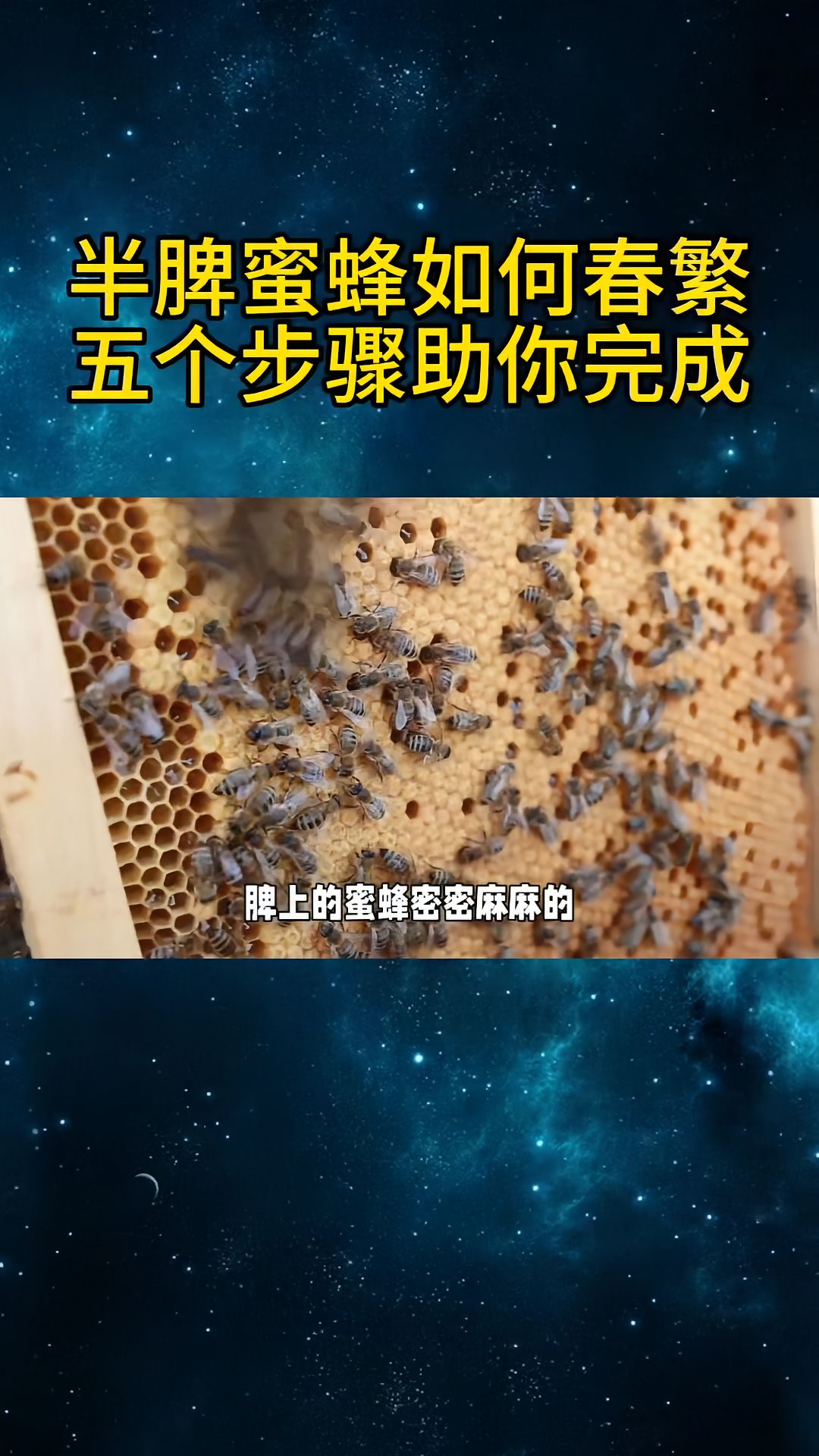 https://static.ixuenong.com/pxn/uploads/prod/thirdfile/2025/04/dafd59e4f767d89843848713123c8533.jpg