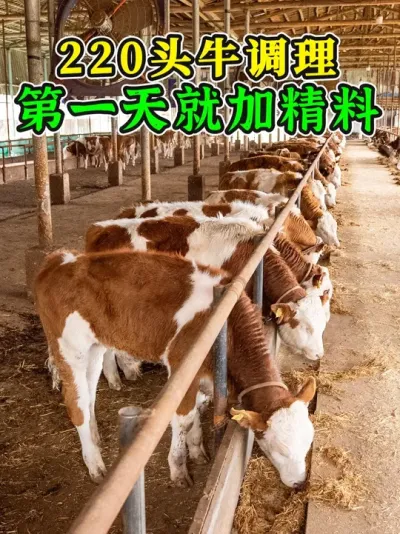 ι 90%˶ˣţӦ⣡ #ţӦ #ţ #ţ #ţ֪ʶ #ũţ#