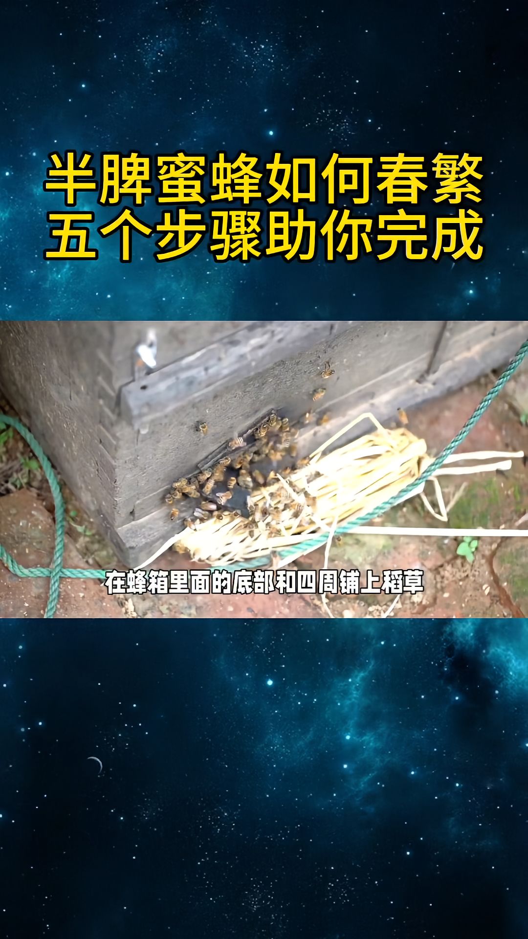 https://static.ixuenong.com/pxn/uploads/prod/thirdfile/2025/04/e1769b3fbf988e92c8cdec068534d95e.jpg