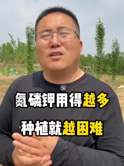 ׼õԽݪֲԽ #׼ # #ũҵݪֲ #ݪֲ #ݪֲС