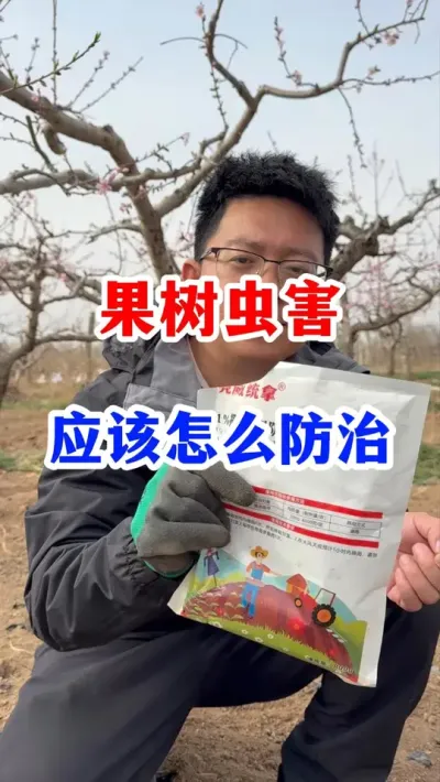 �����溦��ô������  #����ݪֲ #���溦����   #��԰����   #�������溦����   #ũҵݪֲ