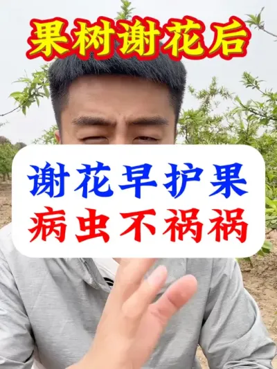 л绤治 #溦 #ݪֲ # # #԰