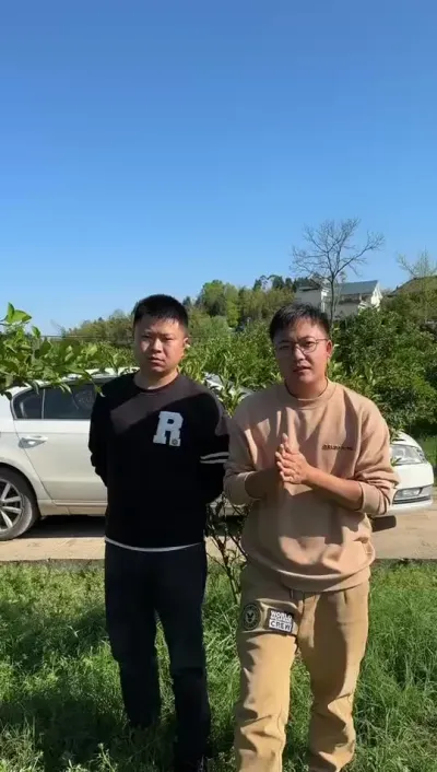 ٴ޼ѧ