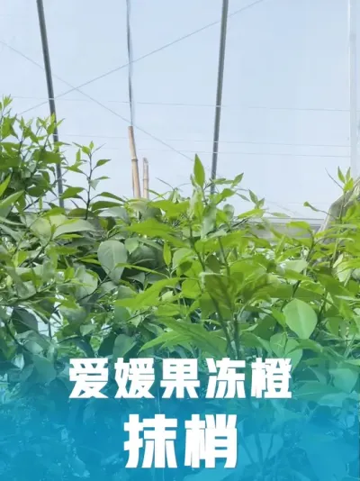 �����ﰮ�¹�����Ĩ��#�����޼� #��ũ������ #����ݪֲ #������ũ #��ũ������������