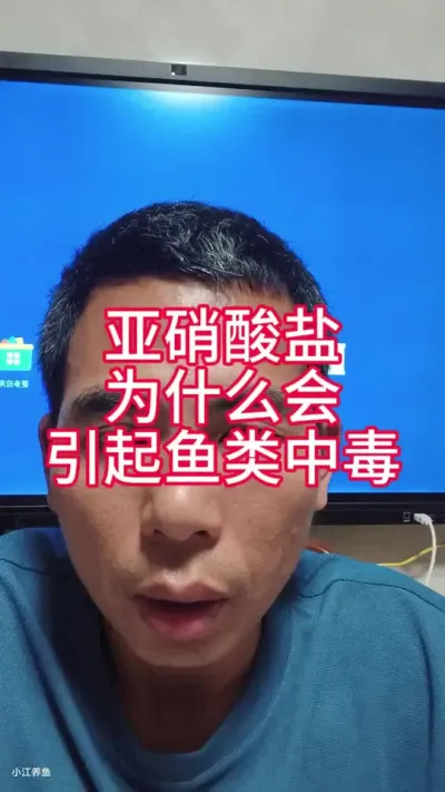 ��������Ϊʲô�����������ж�#���������ж� #�������γ�����ô�� #С������