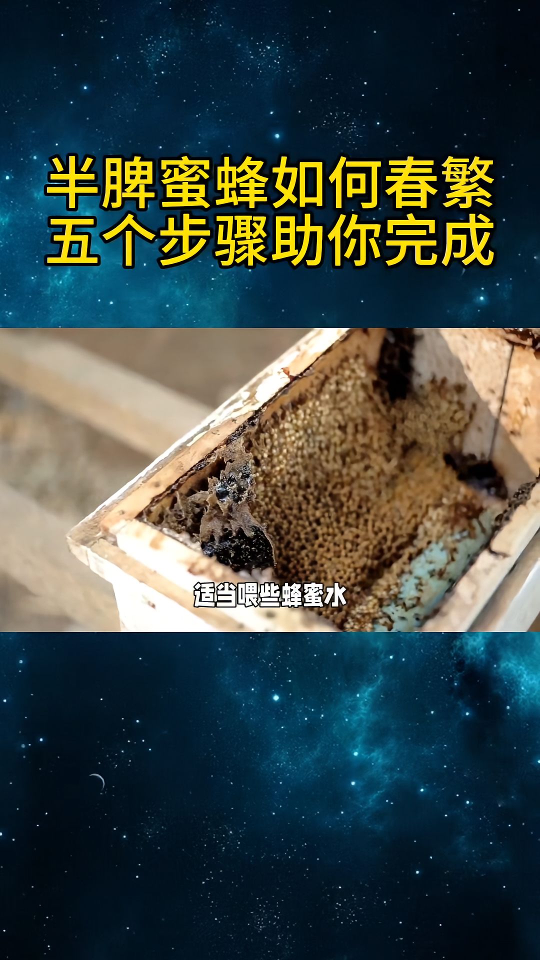 https://static.ixuenong.com/pxn/uploads/prod/thirdfile/2025/04/f30d9356cc5ddb25b734d7b7c23e23b6.jpg