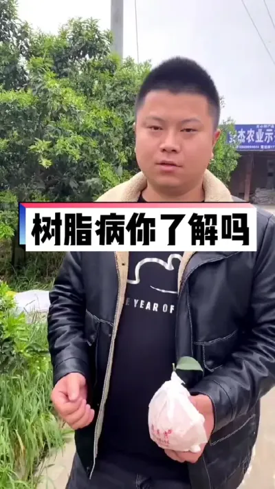 树脂病是影响阳光一号桔柚商品性非常重要的因素！了解树脂病，防好树脂病