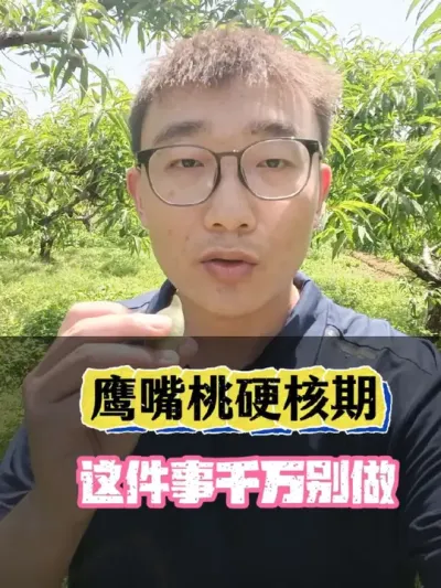 Ӳ����֮���������������� #ӥ����  #������������ #������ѧũ�� #�������� #ũҵ