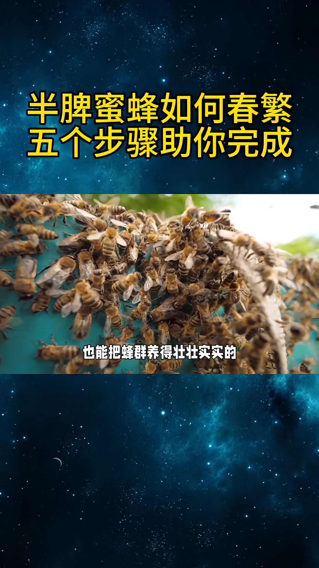https://static.ixuenong.com/pxn/uploads/prod/thirdfile/2025/04/f5d44b297346d2cefbced58c227ce30f.jpg