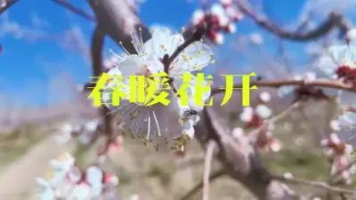 ůɴ#ů #ũ
