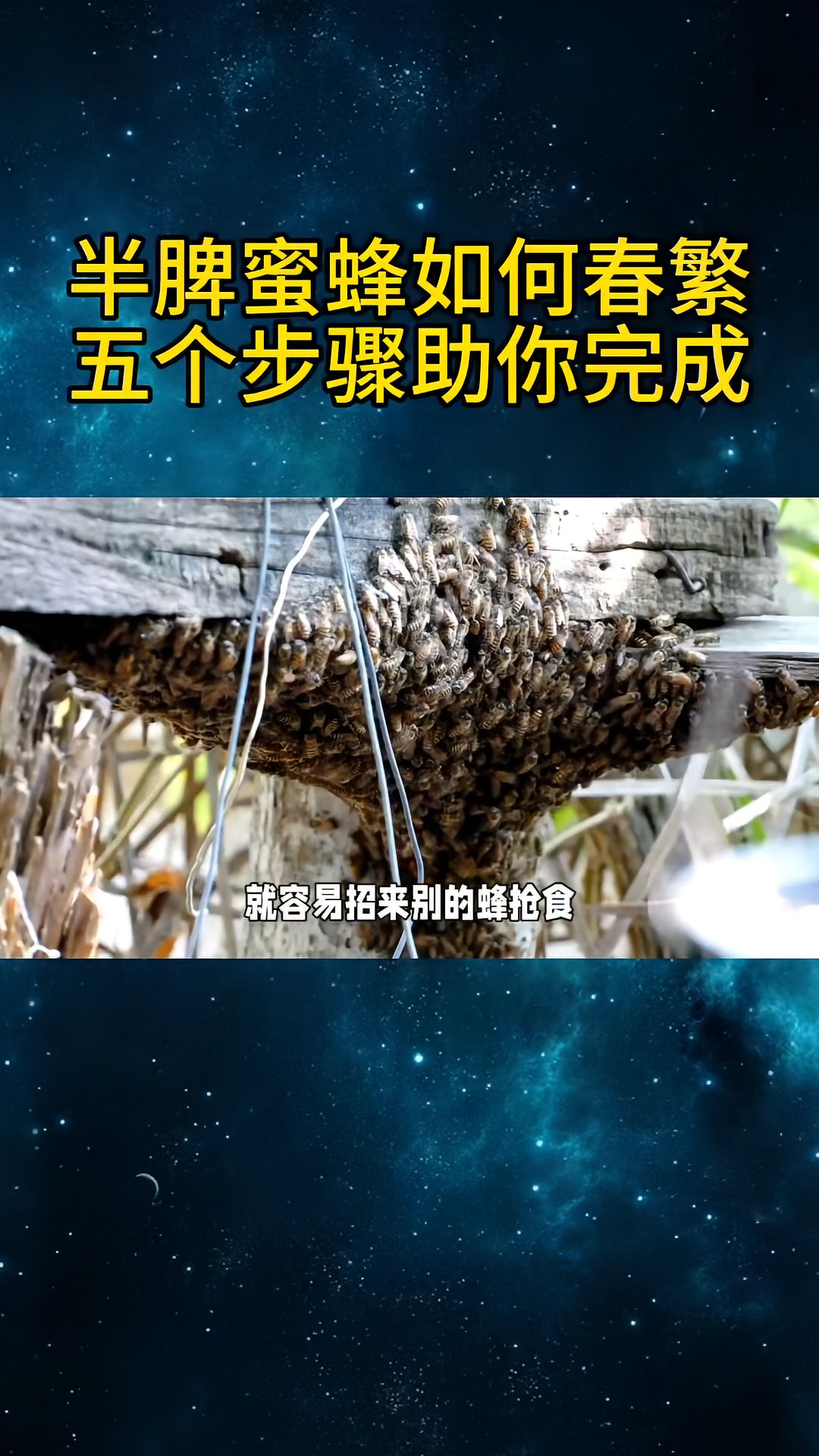 https://static.ixuenong.com/pxn/uploads/prod/thirdfile/2025/04/f748ece99f5f1740f6f75195d23b348c.jpg